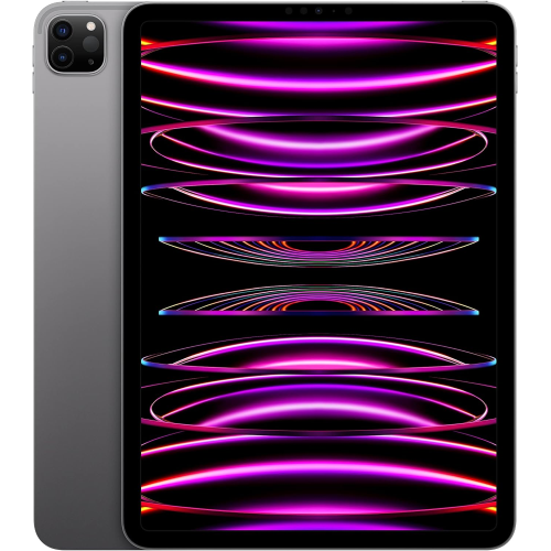 APPLE IPAD PRO 12.9  - 4° GENERAZIONE SPACE GRAY